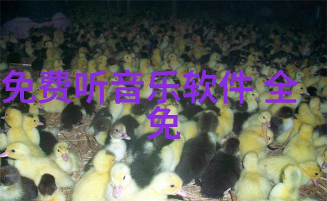 12代酷睿解码大江健三郎全集时光穿梭的文学奇迹
