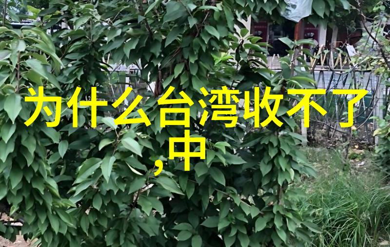 传统与现代在粤正影视中的融合有何表现形式