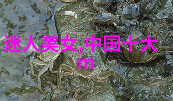 写真女友真实的爱情照片