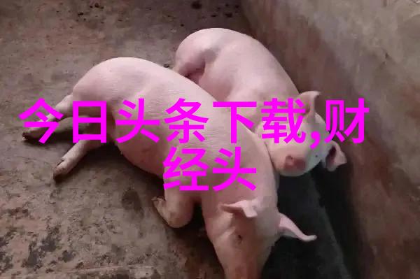 老歌经典500首中的哪些是我们青春必听之作