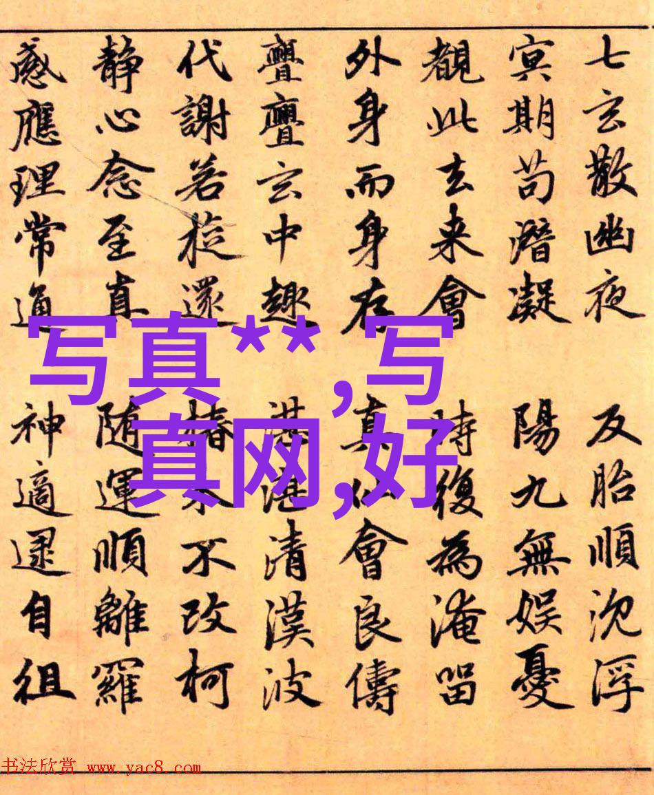 狗狗音乐的魅力与未来