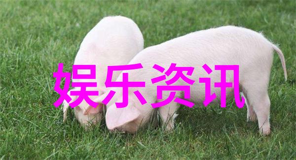 金融市场波动与宏观经济政策的互动机制研究