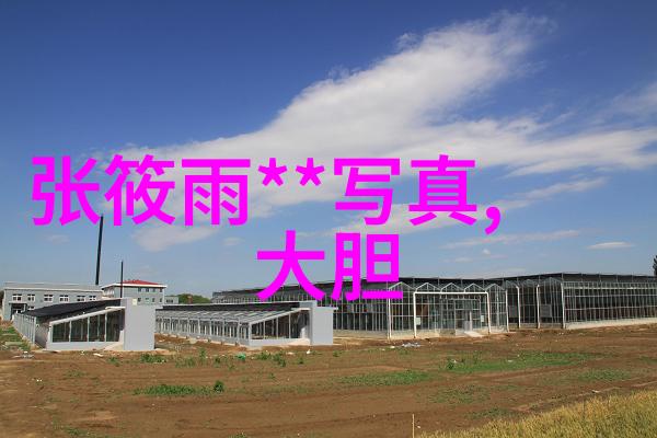 张艺谋新作一秒钟自然风光下的票房火爆首周破亿但高评价难以平息争议