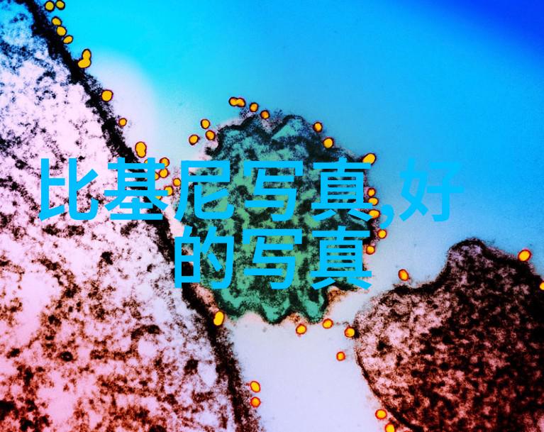 家有儿女新传中的演员阵容为我们带来什么样的视觉盛宴