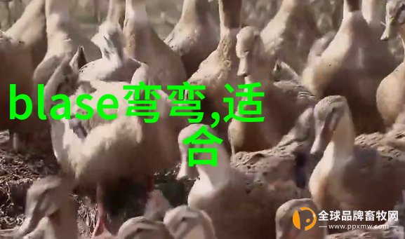 农村网红排行榜前十名 - 田间小蜜蜂乡土美食与自然风光的双重魅力