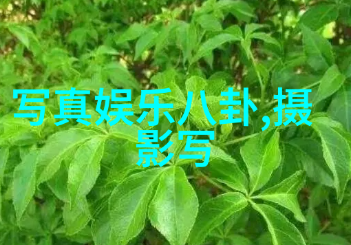 侯京健坚如磐石受邀与电影人们共唱主题曲光辉