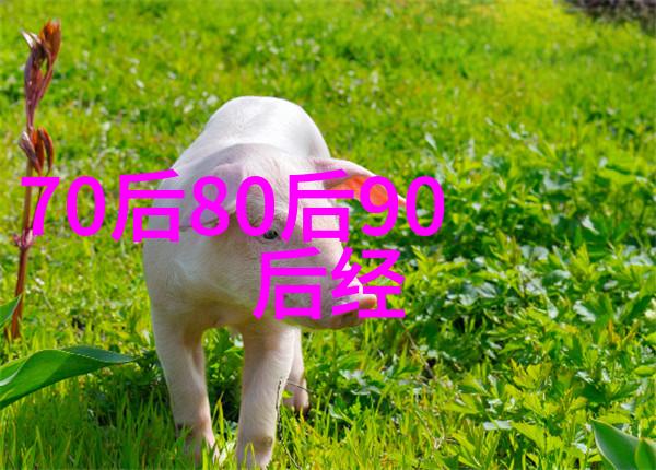 今日头条校招职场机会新鲜血液技术挑战