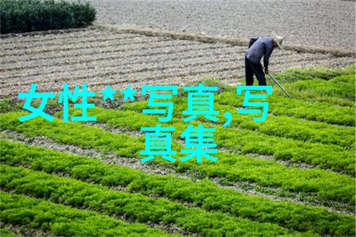 刘涛功夫显神威昆明航空向葛优道歉是躺姿艺术惹祸