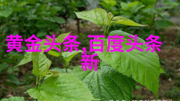 超越现实我的超能男神之所以迷人
