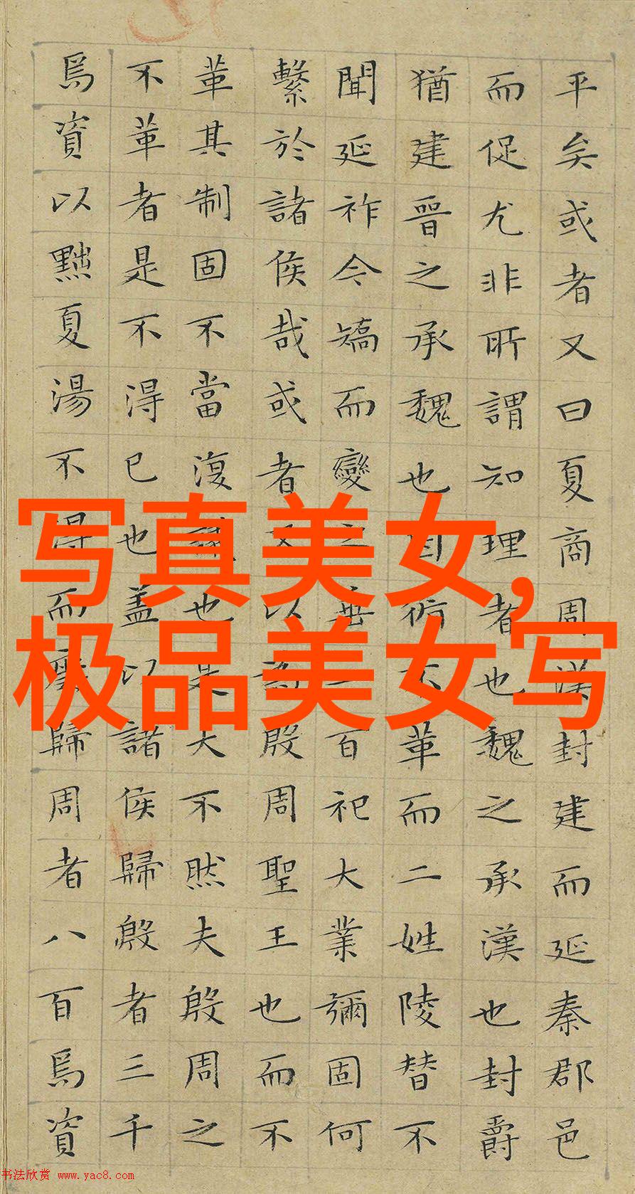 直播网红有哪些最出名-电商界的明星直播网红们的崛起与辉煌