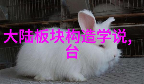 差差差很疼APP免费大全B站 - 疼痛的快乐探索B站上那些让人忍不住差点儿笑出声的免费APP大集合