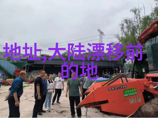 精选萌宠头像带你走进可爱世界的门扉