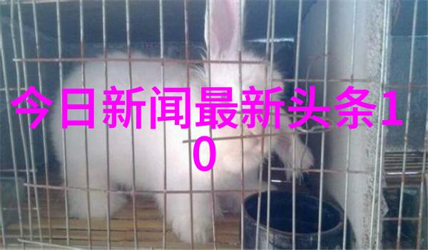 摄影艺术中的景观选择探究写真作品中最具审美价值的拍摄地点