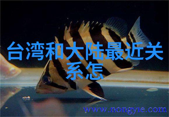 情感纽带经典老歌500首完整版背后的故事