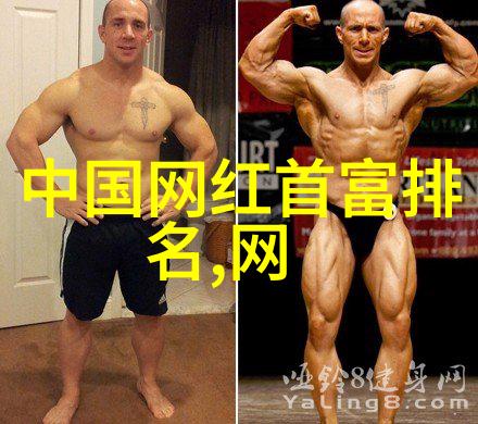 赵丽颖及其公众形象的演变一个基于421页吃瓜文件的案例研究