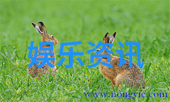 在酷狗音乐2022最新版下载中王丽达张英这对默契的女声合唱团队以深情的赞美之声为三湘四水献上了长沙城