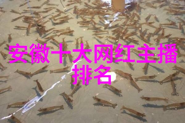 温暖每一天经典八字符间的情感语言