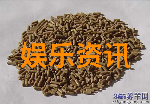 偶像转身花