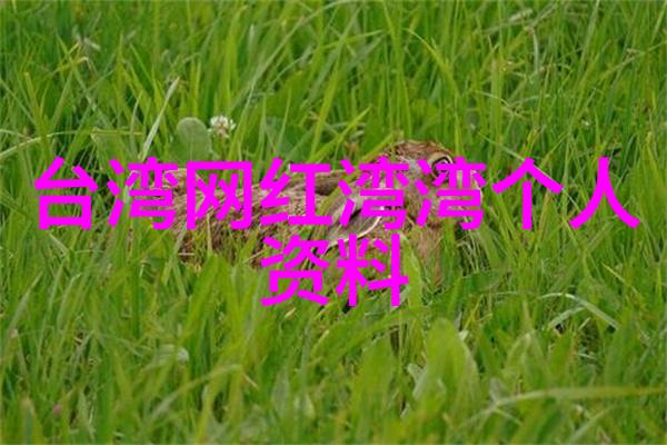 深邃图书馆的守护者
