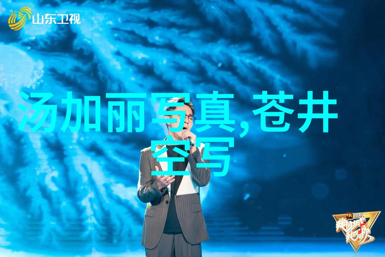 文化融合下的多元化社区建设  一个关于 qq 时尚都会区的案例研究