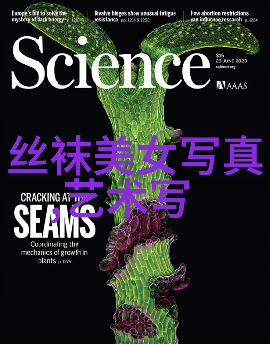 影视奇迹探秘网络神话中的奇米世界
