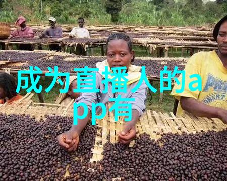 数据驱动的女生微信网名精选探索女性情感的数字足迹