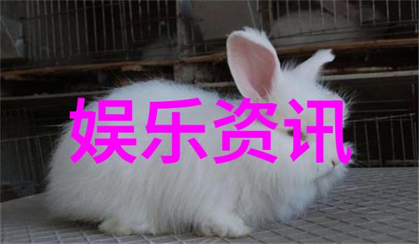 刘诗诗吴奇隆离婚传闻再起业内人士揭示婚姻危机