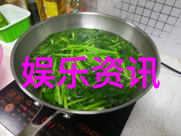 紫影绘写真杨紫的色彩世界