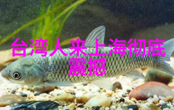 曾舜晞我就是演员再度挑战角色细腻诠释自我突围通过图片识别找原图展现人物深层内心世界
