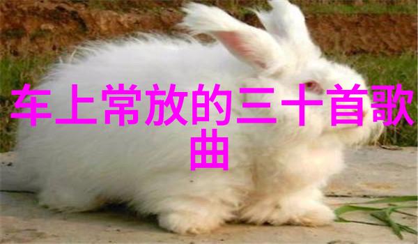生活随笔我读完了421页的厚重书籍后这里是我的心得分享