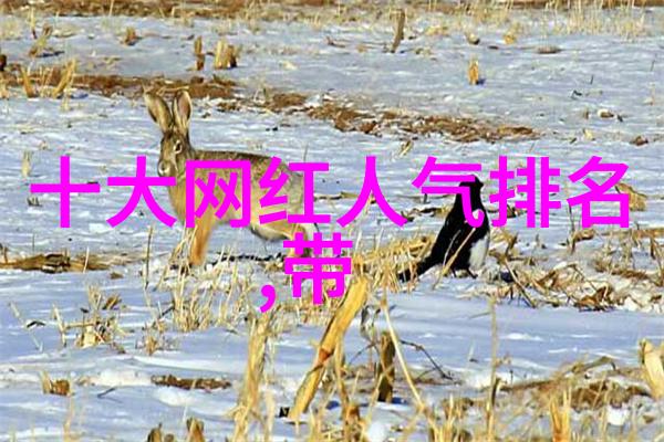 财经信息揭秘你的钱包里最不应该存的东西