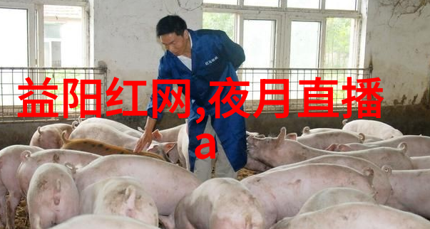 八卦网站我怎么不知道揭秘那些让人一夜爆红的八卦网站