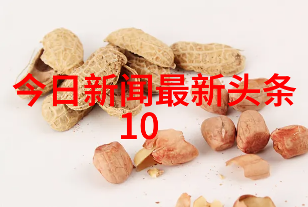 写真机在日常生活中的应用不仅限于旅行记录