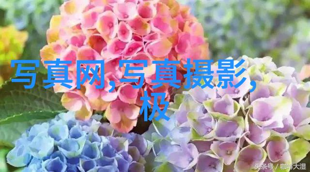 美国运动前佳片两人共赏的健身电影推荐