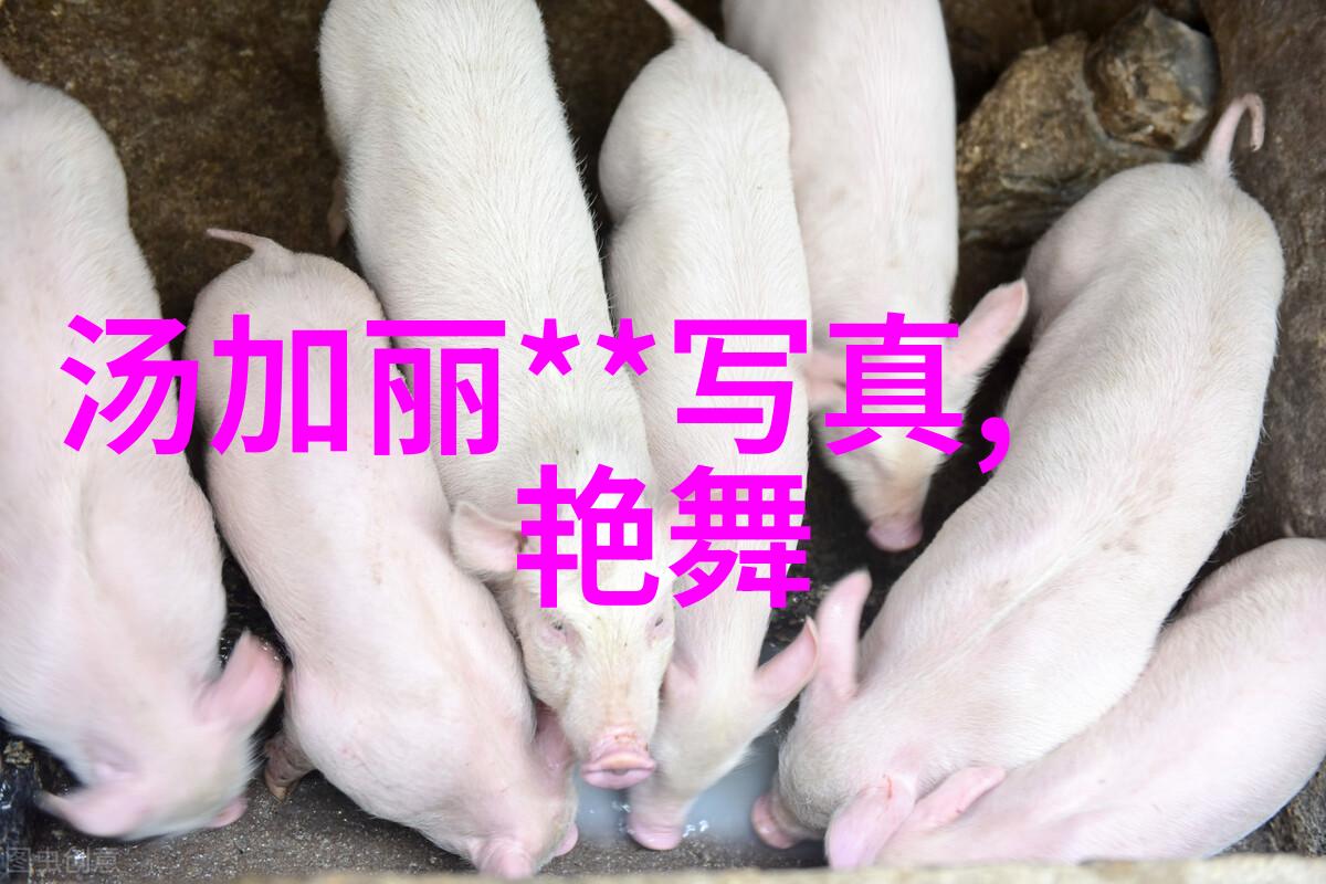 斗罗大陆4终极斗罗小说免费阅读全文来看我是怎样在这无尽的世界中闯荡的