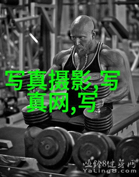 我的岳父会武术 电视剧-隐世高手我的岳父传奇