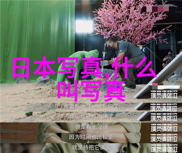 等你的星光总结追逐梦想的璀璨旅程