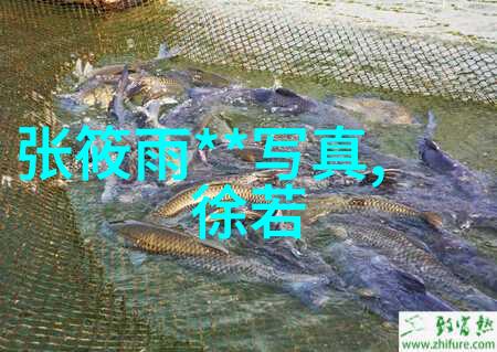 在影视森林的自然环境中探索权力的游戏第八季第一集观看地址了解如何在此季中找到正确的观看路径