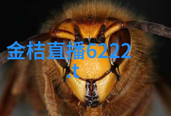 在战争爆发时我们应该如何评估一座城市的安全性