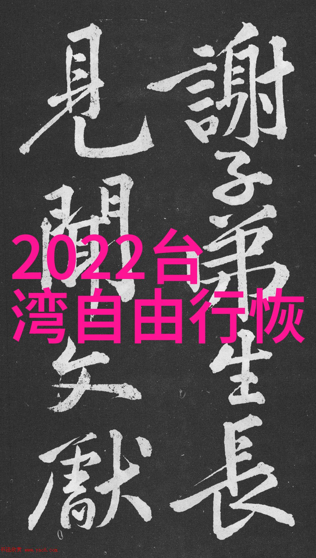 新疆XXXXXL19学生申中国一段不凡的征程