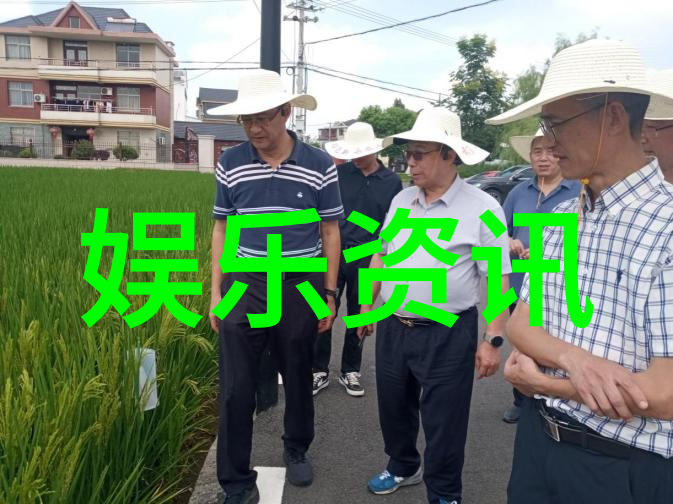 穿越文化风情亚洲各国传统服饰在现代时尚中的应用