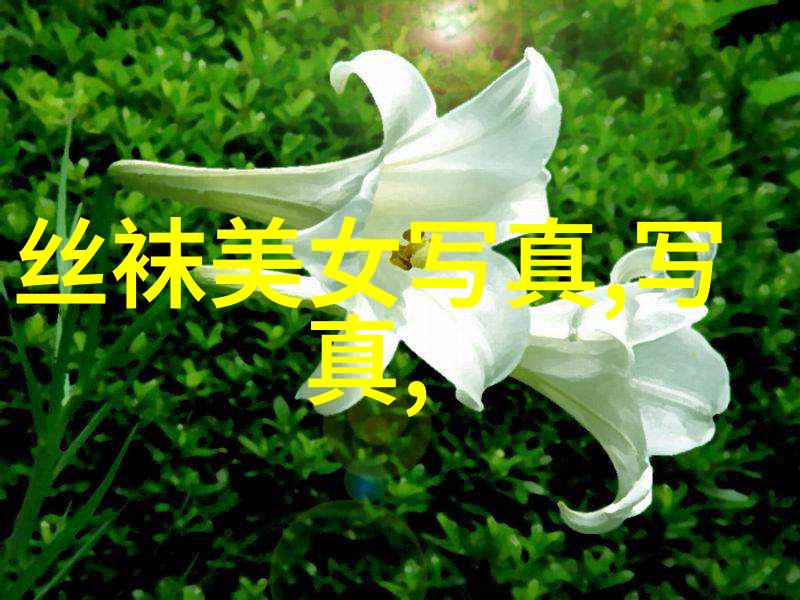421pdf失落的档案室
