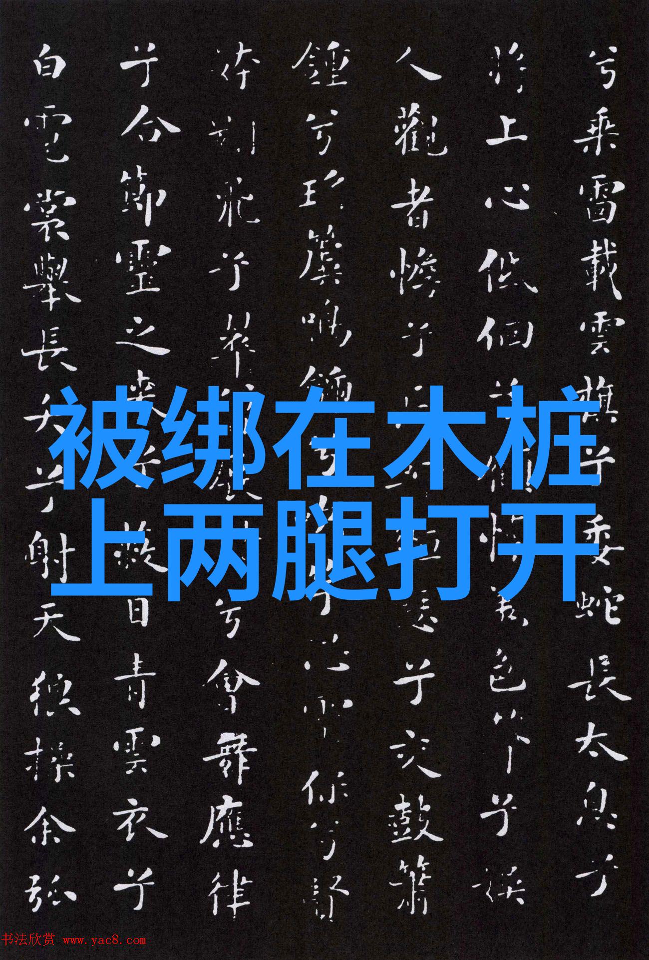翩跹蝶影下花间直播的秘密花园