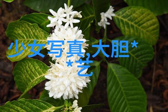 网络红热探秘成人娱乐网的诱惑与挑战