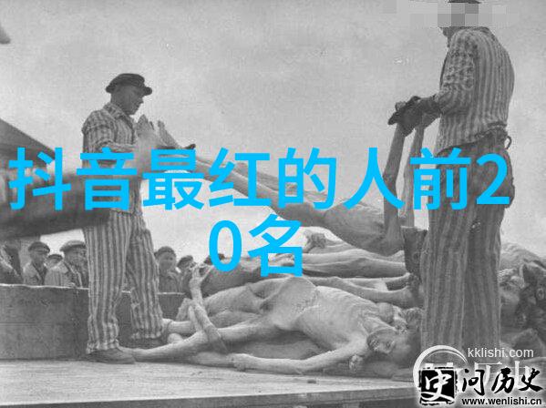 日韩娱乐我是如何在B站上发现了自己心中的K-POP明星