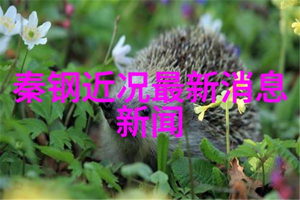 云端的私有物流浪者与守护者的故事