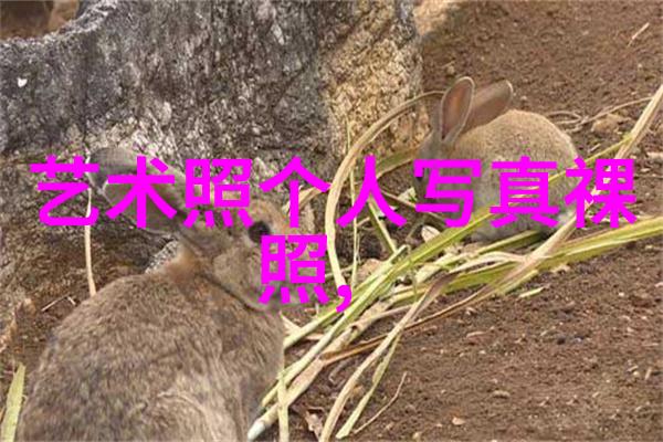 网络时代的双刃剑评析网红是垃圾的观点