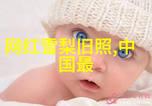 我的青春谁做主揭开心灵的帷幕追逐梦想的电视剧之旅