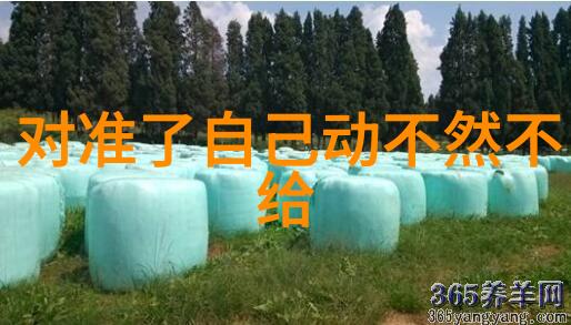 欧洲风情与美国魅力写真艺术的对比探究