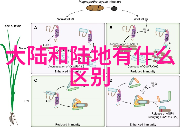 家庭共享邀请观众进家门的真实生活秀